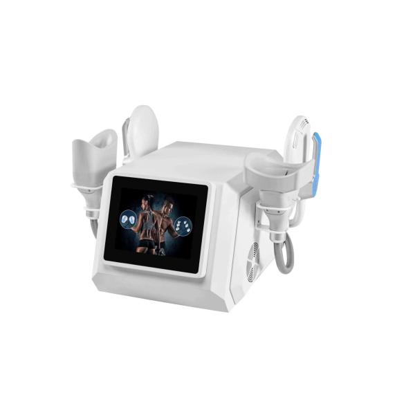 Buy LF-473 portable hiemt cryolipolysis 2 in 1 slimming weight loss machine for salon and clinic use at wholesale prices