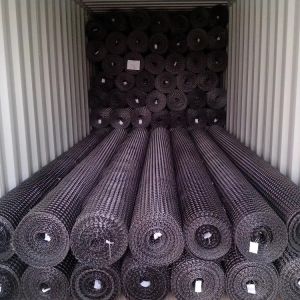 15kn/M-45kn/M Road Reinforcement Composite Geogrid