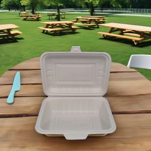 Biodegradable Disposable Food Container Durable Square Plastic Lunch Boxes with