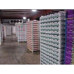 Frozen Meat / Chicken Container Cold Room Freezer One Year Warranty