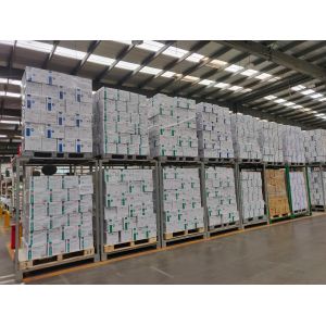 Medium Anti Allergy White Vinyl Gloves For Food Industry