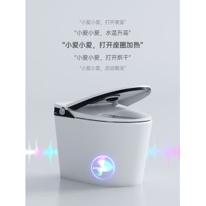 Siphon Flushing Smart Flush Toilet One Piece Intelligent Self Washing