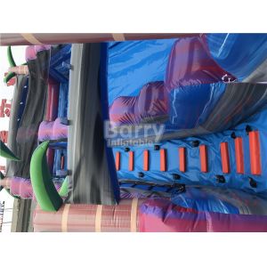 Purple Adult Kids Inflatable Water Slides With Pool ,