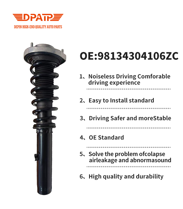 Factory Wholesale Customized Packaging Coilover Kit 98134304106 Suspension Strut