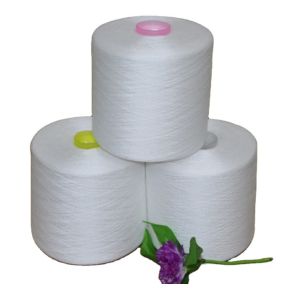 40/2, 40/3, 20/2, 20/3 100% Polyester Ring Spun Yarn Raw White Industrial