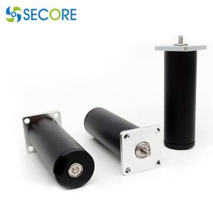 Ironless Coreless Bldc Motor 22mm 24V High Torque Power Tool 117W