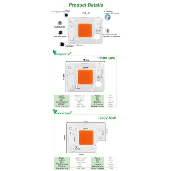 3000lm COB LED Module COB Chip 50Watt 6000K For Commercial Lighting Solutions