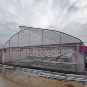 200micron Single Span Greenhouse Agricultural Tropical Climate Greenhouse