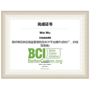 Guangdong Baiyi Textile & Tech.Co.,Ltd Certifications