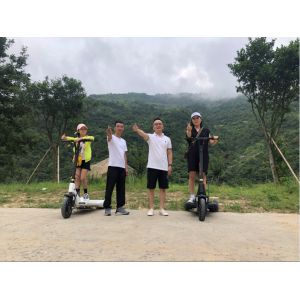 25km/H Electric Balance Scooter