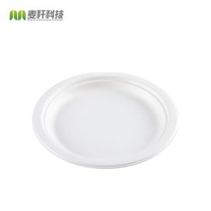 Quality Disposable sugarcane bagasse dishes compostable biodegradable plates for sale