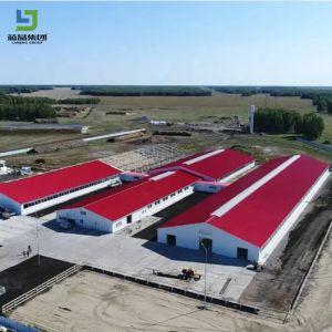 Low Cost Chicken Farm Design Prefabricated Poultry House Sheep Cow Barn Shed