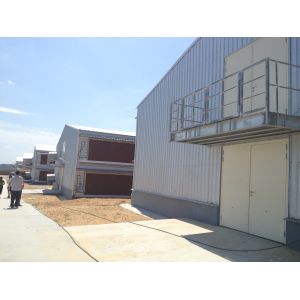 Q235B Galvanized Steel Poultry House with Bolted Connection
