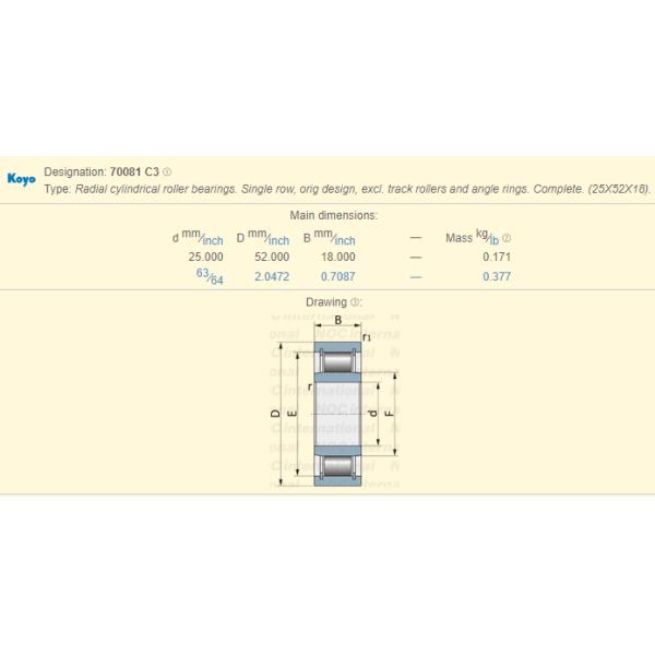Single Row 70081 Full Complement Cylindrical Roller Bearing for Printing Machine