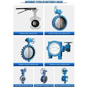 Medium Temperature Double Flange Metal Seated Butterfly Valve