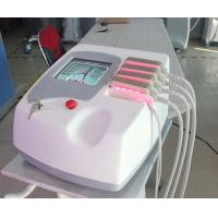China Body Slimming & Shaping Machine Lipo Laser Lose Weight System for sale