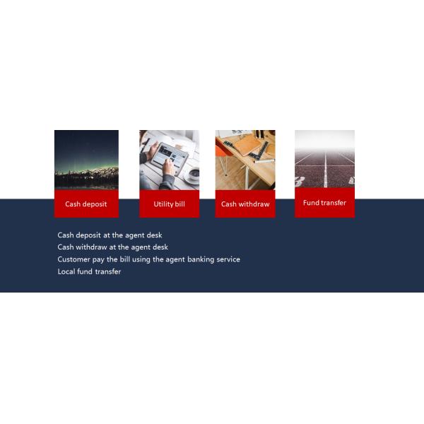 PADSS Agency Banking Solution For Bill Payment / Money Transfer