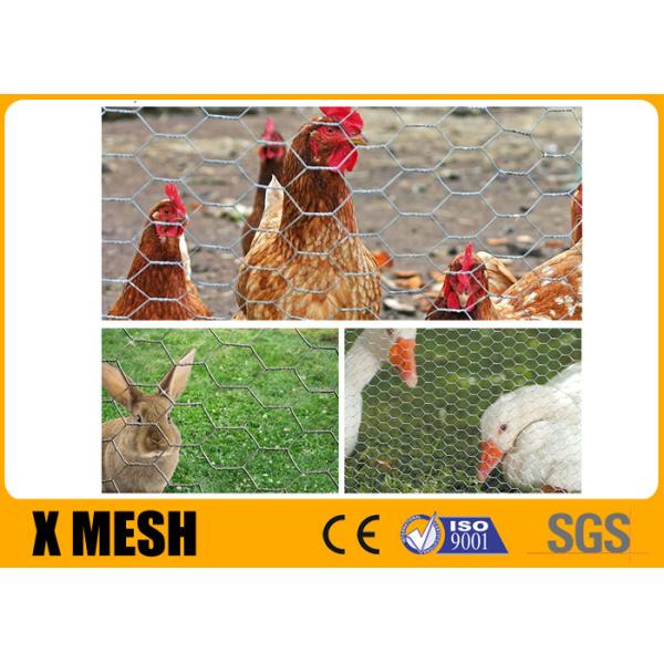 Buy Antirust Galvanized Hexagonal Chicken Mesh Rabbit Netting Screen 0.9X 30M Roll at wholesale prices