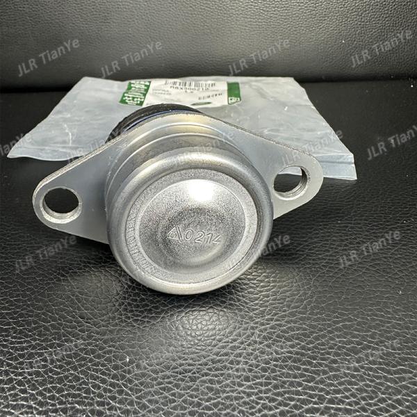 Range Rover Auto Chassis Parts Front Lower Control Arm Ball Joint RBK500210 RBK500150 RBK000012