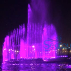 Marry accessory water fountain changed