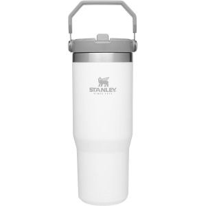 IceFlow Stainless Steel Tumbler with Straw, Vacuum Insulated Water Bottle for
