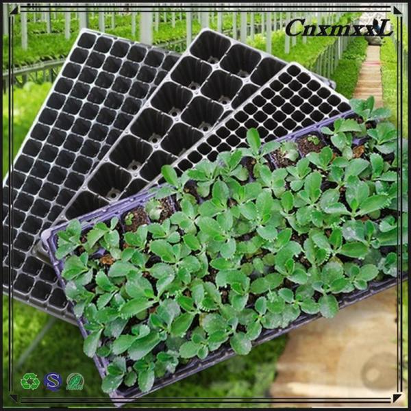 32 Holes Plastic Seedling Tray Flower And Tree Growing Plastic Containers Cell Tray