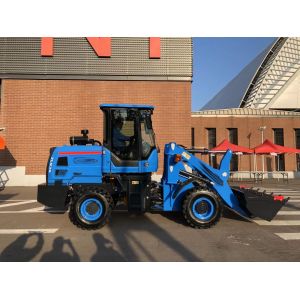 Quality Engineering Loaderearthwork Truckconstruction Forklift for sale