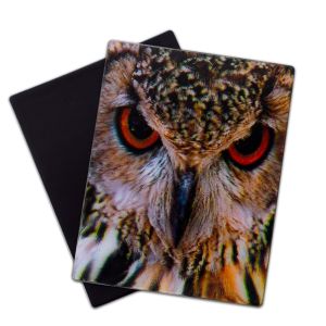 Wolf Owl Wild Animals 3D Magnets Lenticular 3D Refrigerator Magnet For Tourist