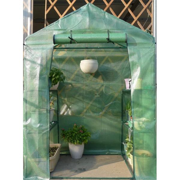 PE tarpaulin garden greenhouse for protection plants in freezer cold weather