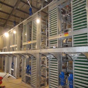 Poultry Chicken Farm Used Layer Chicken Cage 9 Layers / Cell
