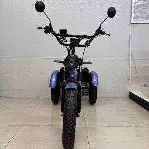 Multifunctional Electric E Tricycle Adjustable Handlebar + 7 Speed Shifting