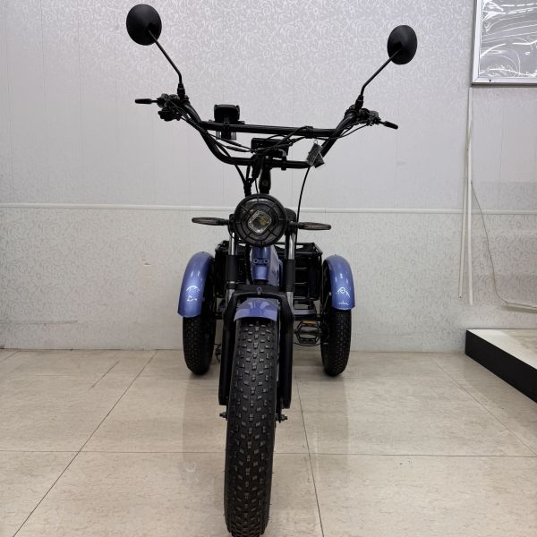 Buy Multifunctional Electric E Tricycle Adjustable Handlebar + 7 Speed Shifting at wholesale prices