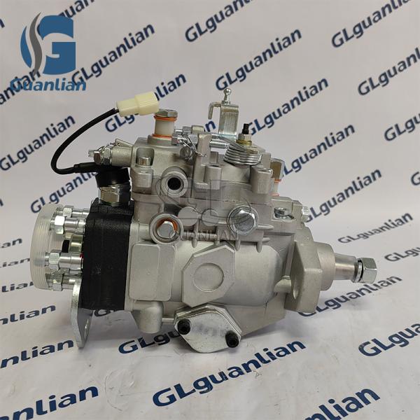 22100-1C190 New Diesel Fuel Pump 22100-1C190 VE6/10F1900RND264 196000-2640 for