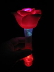 Quality magic rose for sale