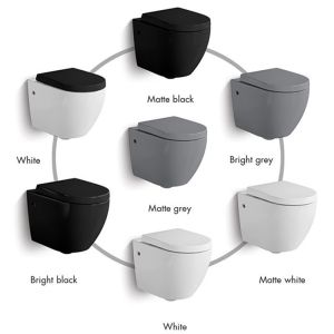 Elongated Wall Hung Toilet Adjustable Height And Soft Closing Seat