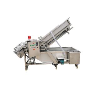 Fresh Mango Brush Roller 500kg/hour Vegetable Washing Machine