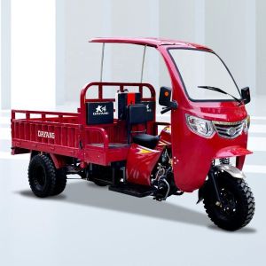 3 Wheeler Motorcycle Tuc Tuc with 5.0-12 Tyre and Front Disc Rear Drum Brake