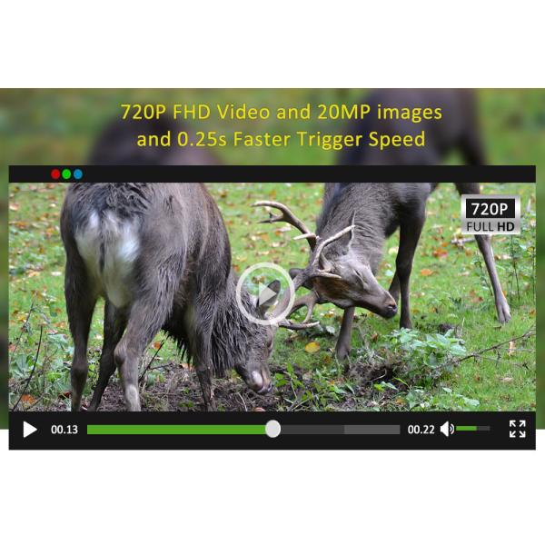 20MP Night Vision Hunting Cameras SMTP MMS SMS IP67 Wildlife Trail Hunting Camera