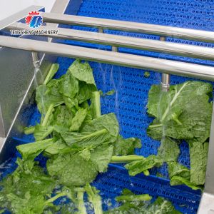 Vegetables bubblewashing machine Leaves Vegetables Onions Leafy vegetables