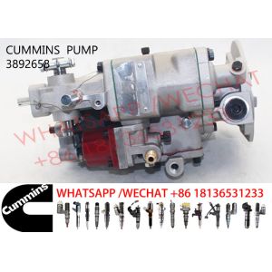 3892658 NTA855 3095502 3895537 Diesel Engine Fuel Pump