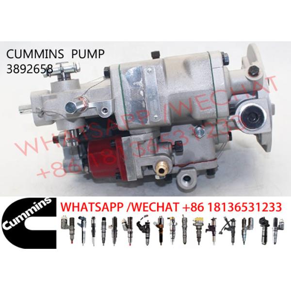3892658 NTA855 3095502 3895537 Diesel Engine Fuel Pump