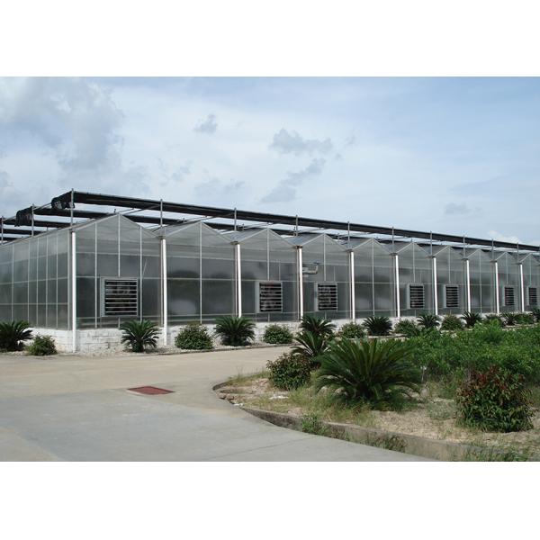 9.6m Tunnel Width Polycarbonate Greenhouse for Sustainable Agricultural Practices