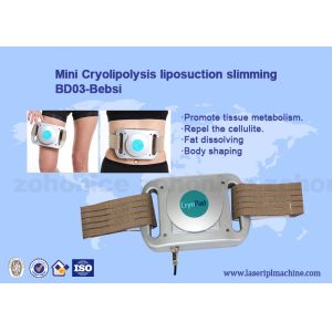 Quality Cryolipolysis Freeze Fat Pads Machine for sale