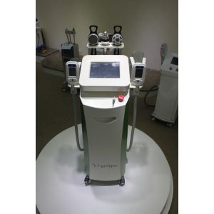 Quality 5 handles Fat Reduction Cryotherapy Body/Cryolipolysis Slimming Machine for sale