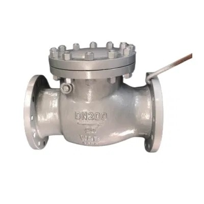 Buy 4 inch CF8 WCB Carbon Steel Flange Swing Check Valve Complete Certificate and Manual at wholesale prices