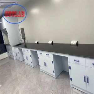 Quality Modern Customizable Chemistry Lab Furniture Price Hong Kong with Integrated Structure and Surface Treatment for sale