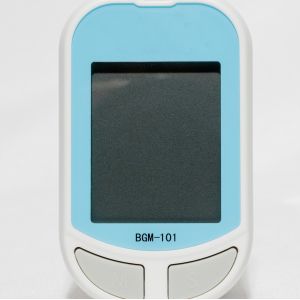 China Factory Direct Sale Blood Glucose Meter For Household BGM101/101N