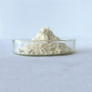 wholesale immuno-enhancement griffonia seed extract in bulk