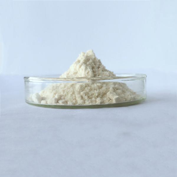 Buy wholesale rheumatism capsule root extract baikal skullcap in bulk at wholesale prices