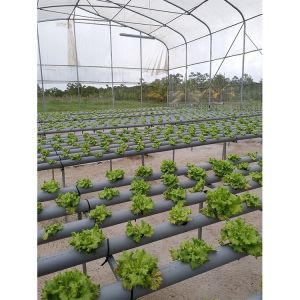 Customized Galvanized Steel Frame Greenhouse For Flowers And Berries